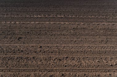 Baharın başlarında tarlaya vurulan boş bir tarlanın yakın çekimi.