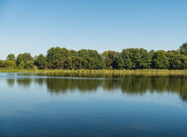 Güneşli bir günde, ağaçların kıyılarında üreme göletlerinin manzarası