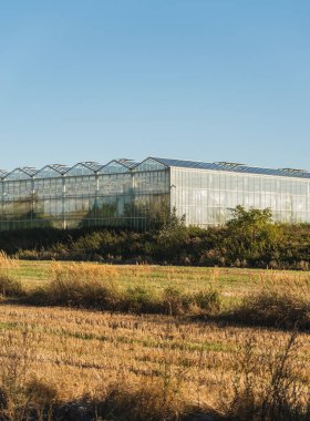 Boş tarlalara karşı bitki yetiştirmek için kocaman cam seralar.