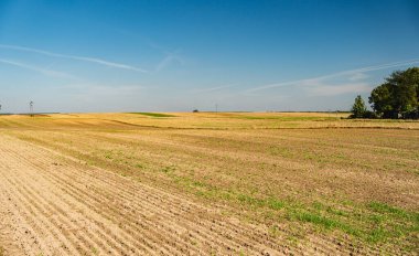 Sonbaharın başlarında hasat mevsiminden sonra boş tarlaları gösteren bir manzara.
