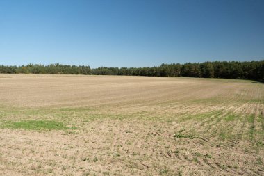 Sonbaharın başlarında hasat mevsiminden sonra boş tarlaları gösteren bir manzara.