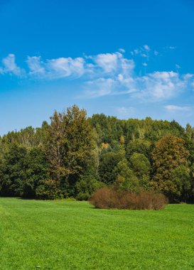 Ağaçlardaki yaprakların sonbaharın başında renk değiştirmeye başladığı bir manzara.