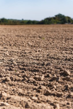 Yazın sonunda boş bir tarla manzarası