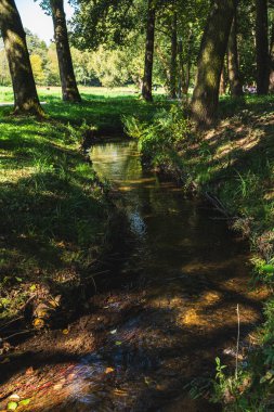 Parkta akan küçük bir akarsu.