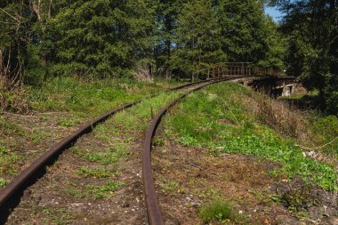 Eski dar kalibreli tren raylarının yakın plan çekimleri yavaş yavaş bitki örtüsüyle kaplanıyor.