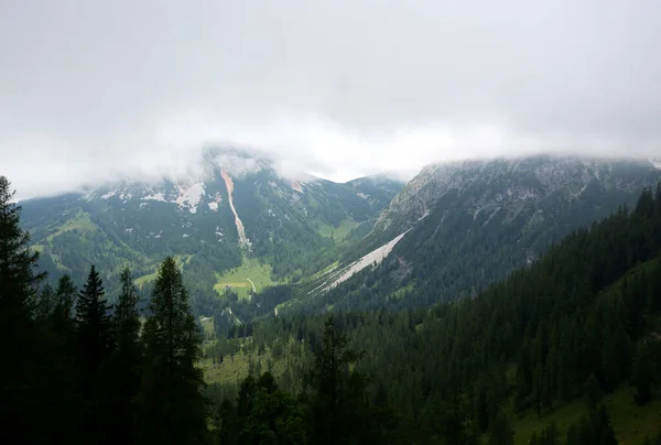 stock image Detail of Dachstein region in Alps , Austria