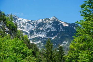 Avusturya, Alpler 'de Rocky zirvesi