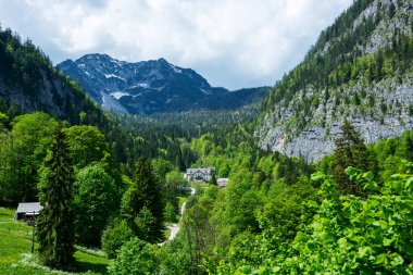 Avusturya 'daki Alplerin Detayları