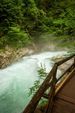 Slovenya 'daki güzel Vintgar Kanyonu