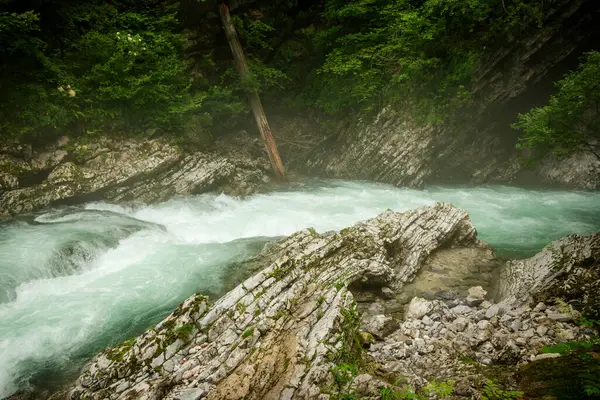 stock image Beautiful Vintgar canyon in Slovenia