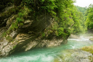 Slovenya 'daki güzel Vintgar Kanyonu
