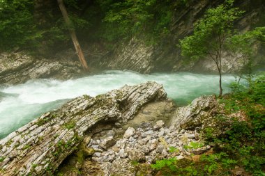 Slovenya 'daki güzel Vintgar Kanyonu