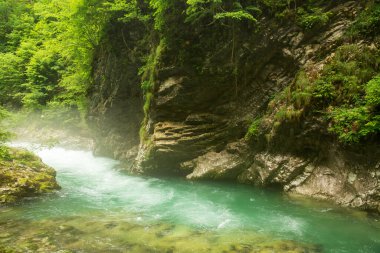 Slovenya 'daki güzel Vintgar Kanyonu