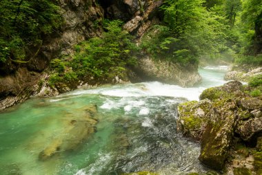 Slovenya 'daki güzel Vintgar Kanyonu