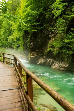 Slovenya 'daki güzel Vintgar Kanyonu