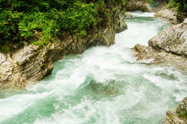 Slovenya 'daki güzel Vintgar Kanyonu