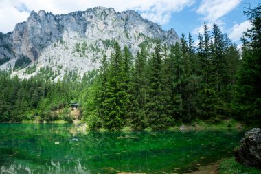 Avusturya, Alplerdeki Yeşil Göl 'ün detayları