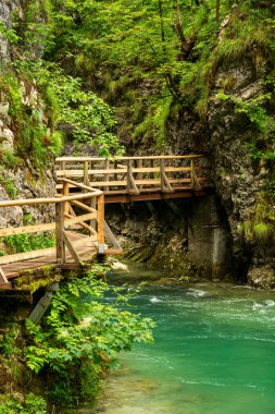 Slovenya 'daki güzel Vintgar Kanyonu