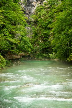 Slovenya 'daki güzel Vintgar Kanyonu