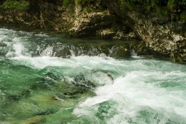 Slovenya 'daki güzel Vintgar Kanyonu