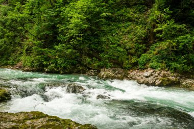 Slovenya 'daki güzel Vintgar Kanyonu