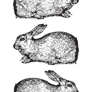 Elegant seamless pattern with belgian hare rabbits, design elements. Animal pattern for invitations, cards, print, gift wrap, manufacturing, textile, fabric, wallpapers. Chinese Symbol of 2023