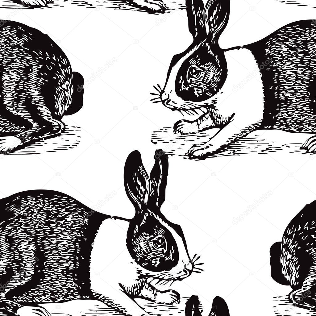 Elegant seamless pattern with dutch rabbits, design elements. Animal ...