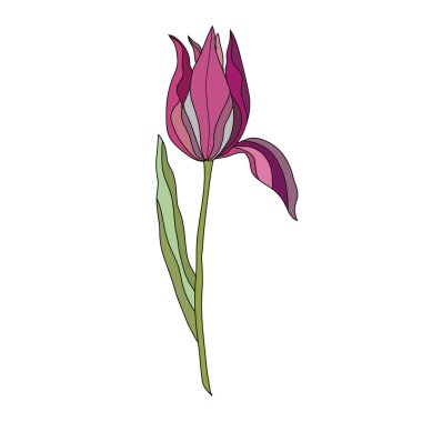 Dekoratif lale çiçeği, tasarım elementi. Kartlar, davetiyeler, afişler, posterler, baskı tasarımı için kullanılabilir. Çiçek arka planı 