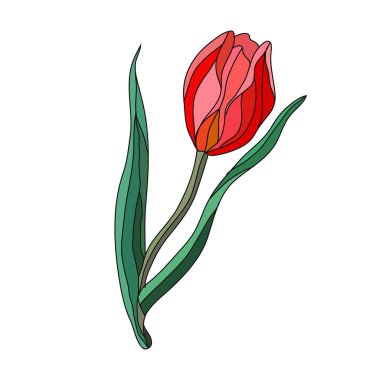 Dekoratif lale çiçeği, tasarım elementi. Kartlar, davetiyeler, afişler, posterler, baskı tasarımı için kullanılabilir. Çiçek arka planı 