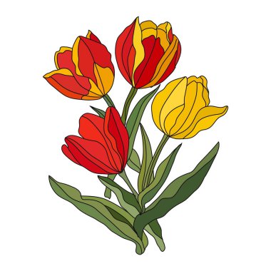 Dekoratif lale çiçekleri, tasarım elementi. Kartlar, davetiyeler, afişler, posterler, baskı tasarımı için kullanılabilir. Çiçek arka planı 