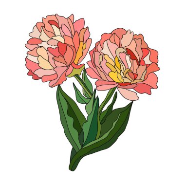 Dekoratif lale çiçekleri, tasarım elementi. Kartlar, davetiyeler, afişler, posterler, baskı tasarımı için kullanılabilir. Çiçek arka planı 