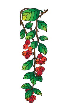 El çizimi çiçek süslemesi, tasarım elementi. Kartlar, davetiyeler, afişler, posterler, baskı tasarımı için kullanılabilir. Çilek arkaplanı 