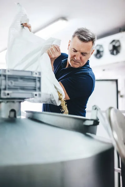 Man Pouring Malt Brewery Equipment Craft Beer Production Middle Aged — Stock fotografie