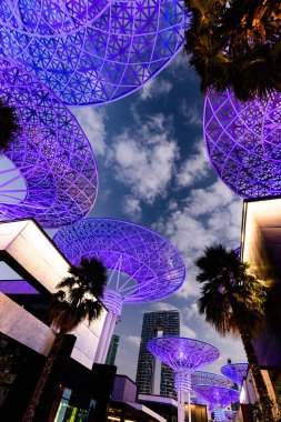 22 January 2022, Dubai, UAE: Dubai Super Trees tourist attraction - alley of glowing metal decorative trees on Blue Waters man-made island clipart