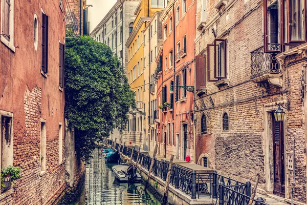Venedig Italien Smal Kanal Med Grönt Träd Historisk Italiensk Stad — Stockfoto