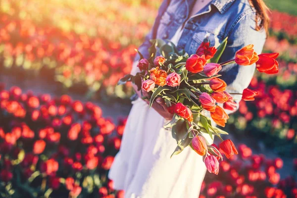 春にはチューリップ畑に花束を持つ女性 日没の光 — ストック写真