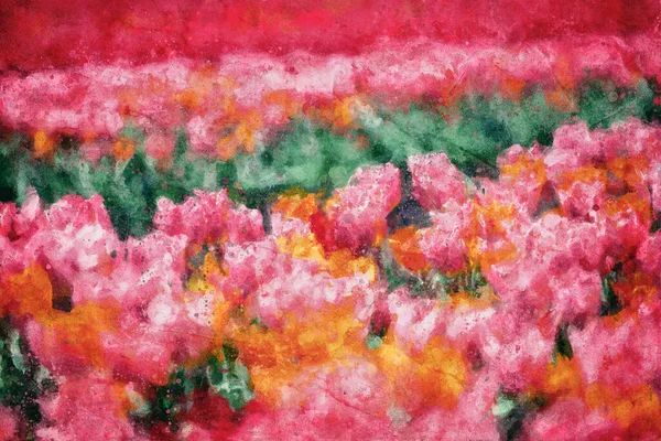Painting Tulip Field Flowers Bloom Spring Colorful Springtime — Stock Photo, Image