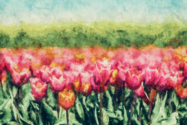 stock image Painting of tulip field flowers in bloom in spring. Colorful springtime