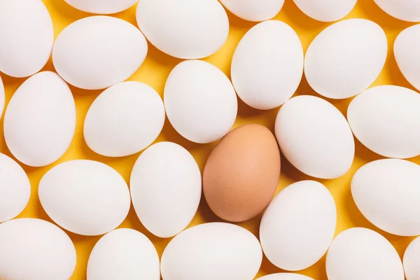 Białe Jaja Pojedynczym Brązowym Jajkiem Żółtym Tle — Zdjęcie stockowe
