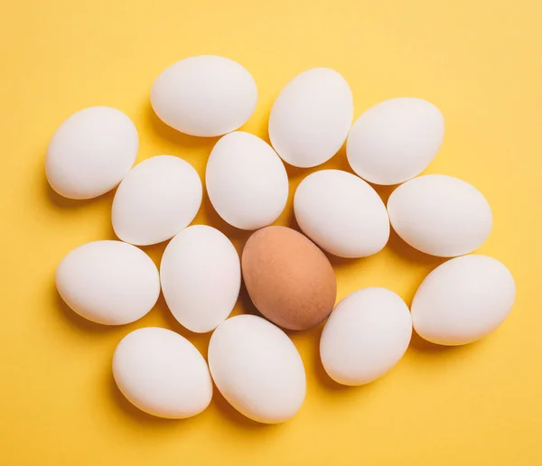 黄色の背景に1個の茶色の卵を持つ白い卵 — ストック写真