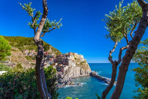 Manarola Cinque Terre Itália Verão Destino Turístico Popular Costa Ligúria — Fotografia de Stock