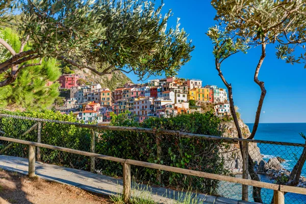 Manarola Cinque Terre Italien Sommaren Populära Turistmål Liguriens Kust — Stockfoto