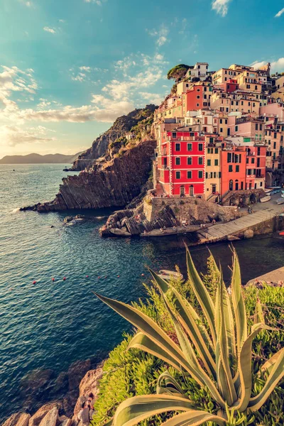 Riomaggiore Cinque Terre Itália Pôr Sol Destino Turístico Popular Costa — Fotografia de Stock
