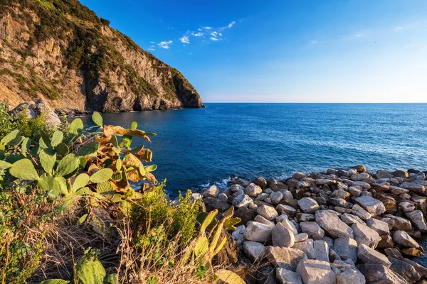 Cinque Terre Coast Cliffs Italy Summer Liguria — Stock Photo, Image