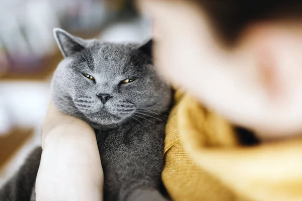 Kvinna Med Sin Bästa Vän Brittisk Katt Söt Husdjur — Stockfoto