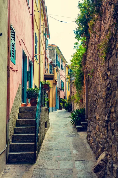 Узкая Итальянская Улица Порто Венере Италии Архитектура — стоковое фото