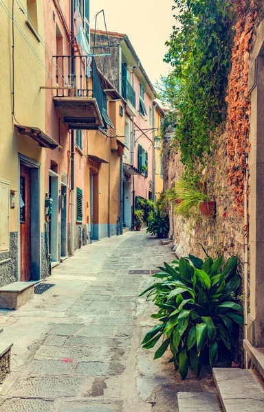 Smalle Italiaanse Straat Porto Venere Italië Historische Architectuur — Stockfoto