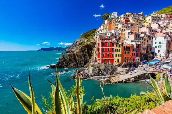 Riomaggiore Cinque Terre Italien Sommaren — Stockfoto