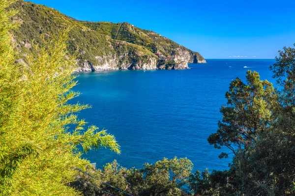 Cinque Terre Costa Italia Verano Liguria —  Fotos de Stock
