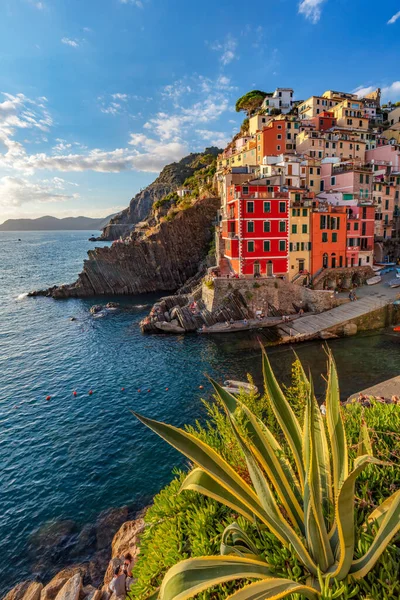 Riomaggiore Cinque Terre Італія Заході Сонця Популярне Місце Туристів Узбережжі — стокове фото